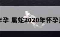 属蛇17年孕 属蛇2020年怀孕是男是女