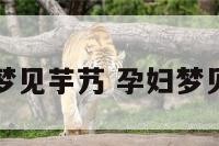 孕妇梦见芋艿 孕妇梦见芋头