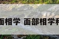 美学面相学 面部相学和美学
