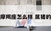 属猪的摩羯座怎么样 属猪的魔羯座