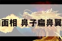 鼻翼扁的面相 鼻子扁鼻翼宽的面相