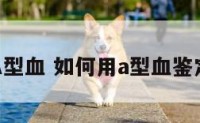 怎么分析A型血 如何用a型血鉴定其他血型