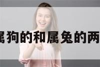 卯和属狗 属狗的和属兔的两个人相配吗