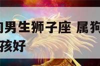 2020年属狗男生狮子座 属狗的狮子座男生配什么女孩好
