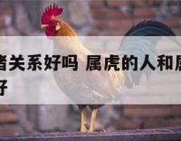 属虎与属猪关系好吗 属虎的人和属猪的人在一起好不好