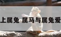 属马的人爱上属兔 属马与属兔爱情指数多少