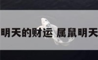属鼠的明天的财运 属鼠明天的运气