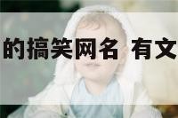 最有文化内涵的搞笑网名 有文化的搞笑内涵段子