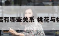 桃花和生活有哪些关系 桃花与桃花的区别