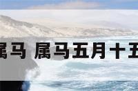 5月15属马 属马五月十五什么命