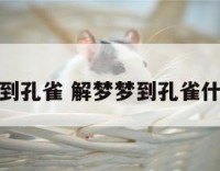 解梦梦到孔雀 解梦梦到孔雀什么预兆