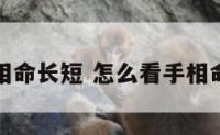 怎么看手相命长短 怎么看手相命长短图解