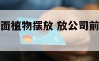 公司前台地面植物摆放 放公司前台绿植有哪些植物