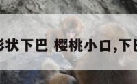 樱桃形状下巴 樱桃小口,下巴尖尖
