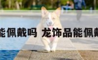龙饰品能佩戴吗 龙饰品能佩戴吗图片
