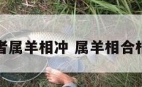 死者属羊相冲 属羊相合相冲