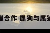 属狗与属猪合作 属狗与属猪合作财运
