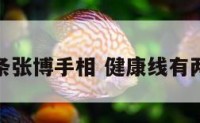 健康线双条张博手相 健康线有两条咋回事