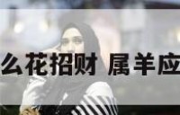 属羊适合养什么花招财 属羊应该养什么花好