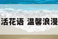 温馨生活花语 温馨浪漫的花语