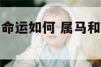 属马的和属羊命运如何 属马和属羊是什么命运