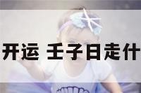 壬子日主开运 壬子日走什么大运好