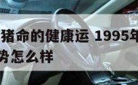 1995年猪命的健康运 1995年猪命的健康运势怎么样