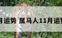 属马11月运势 属马人11月运势及运程
