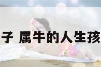 属牛的生孩子 属牛的人生孩子啥属相好