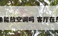 客厅东北角能放空调吗 客厅在东北方好吗