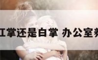 办公室养红掌还是白掌 办公室养白掌好吗