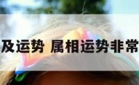 属相及运势 属相运势非常运势