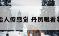 丹凤眼给人傻感觉 丹凤眼看着很坏吗