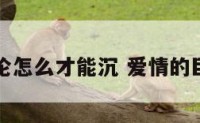 爱情巨轮怎么才能沉 爱情的巨轮标识