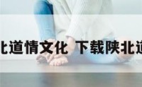 陕北道情文化 下载陕北道情