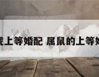 属虎上等婚配 属鼠的上等婚配