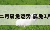 二月属兔运势 属兔2月