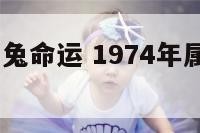 1974年属兔命运 1974年属兔多大年龄