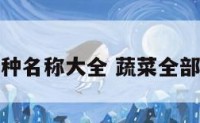 蔬菜类各种名称大全 蔬菜全部名称大全
