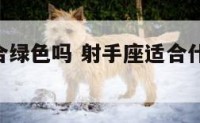 射手座适合绿色吗 射手座适合什么颜色的jk