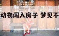 梦见不同的动物闯入房子 梦见不同的动物闯入房子里
