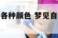 梦见自己头发各种颜色 梦见自己的头发有颜色