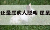 属鼠人聪明还是属虎人聪明 属鼠的人聪明智商高吗