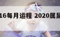 属鼠2016每月运程 2020属鼠每月运程运势