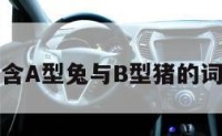 包含A型兔与B型猪的词条