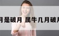 属牛几月是破月 属牛几月破月子生日