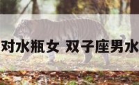 双子座男配对水瓶女 双子座男水瓶座女配吗