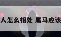 属马的人怎么相处 属马应该怎么办