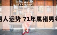 属猪的男人运势 71年属猪男每月运势