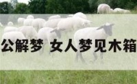 梦见木箱周公解梦 女人梦见木箱子什么意思